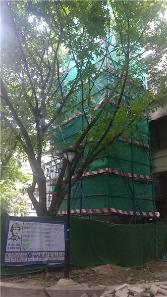 鐵軍公園15號