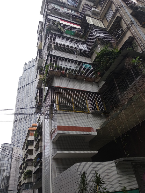 同華西13號(hào)