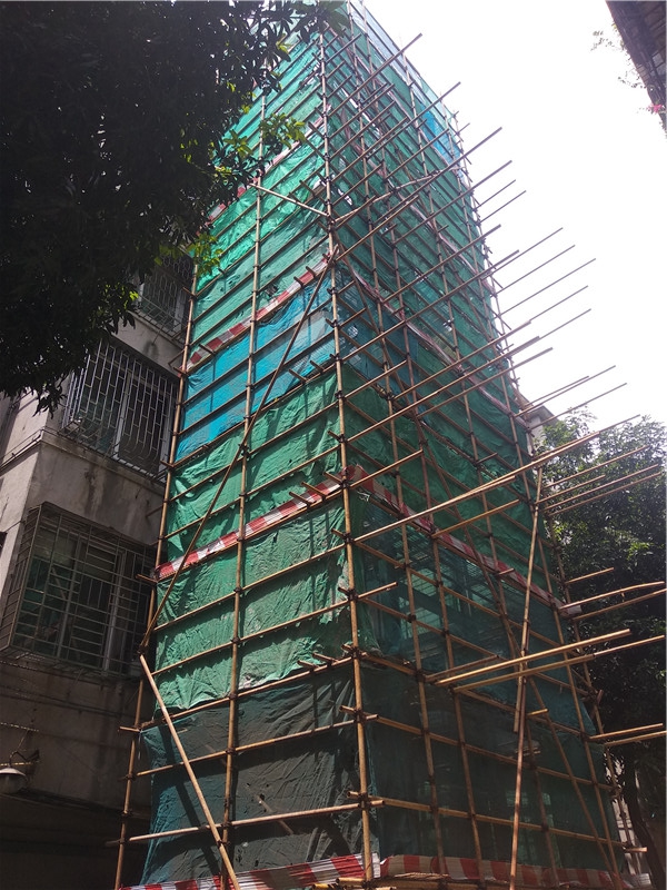 市政府大院9號